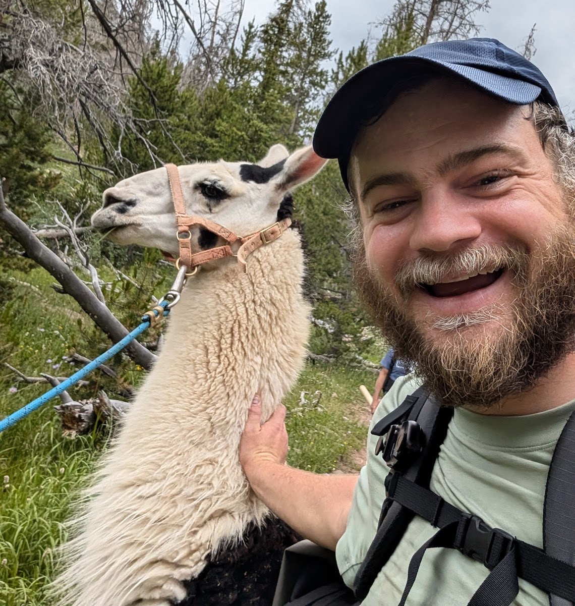 Meeting a llama on a hike.